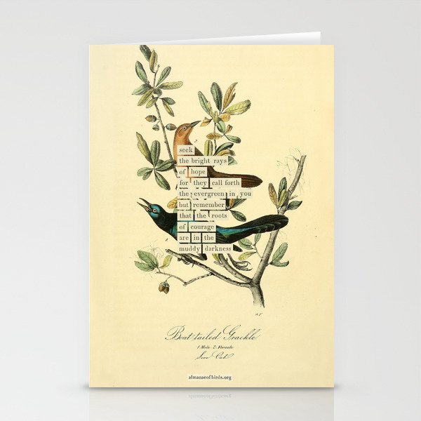 Bird Divinations: Boat-Tailed Grackle (about: almanacofbirds.org) Stationery Card