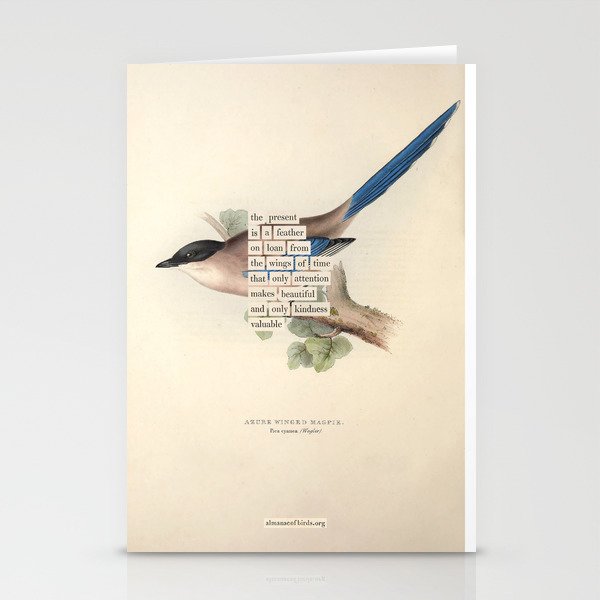 Bird Divinations: Azure Magpie (about: almanacofbirds.org) Stationery Card