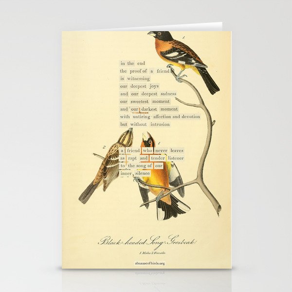 Bird Divinations: Black-headed Song-grosbeak