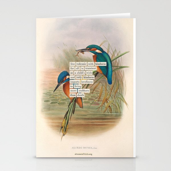 Bird Divinations: Kingfisher (about: almanacofbirds.org) Stationery Card