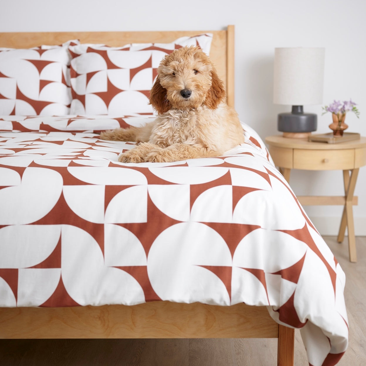 Sweet Dreams Brushed Cotton Duvet Cover Set