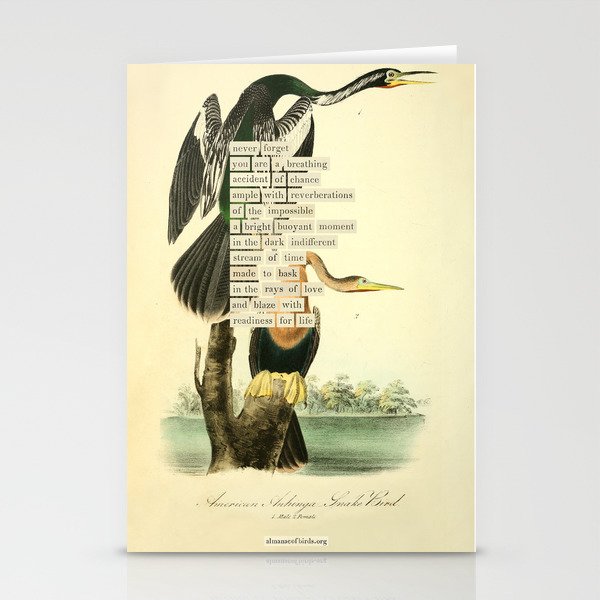 Bird Divinations: Snake Bird (about: almanacofbirds.org) Stationery Card