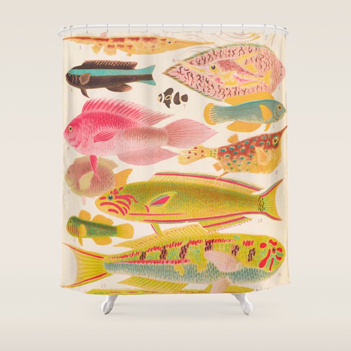 Colorful Tropical Fishes Vintage Sea Life Illustration Shower Curtain