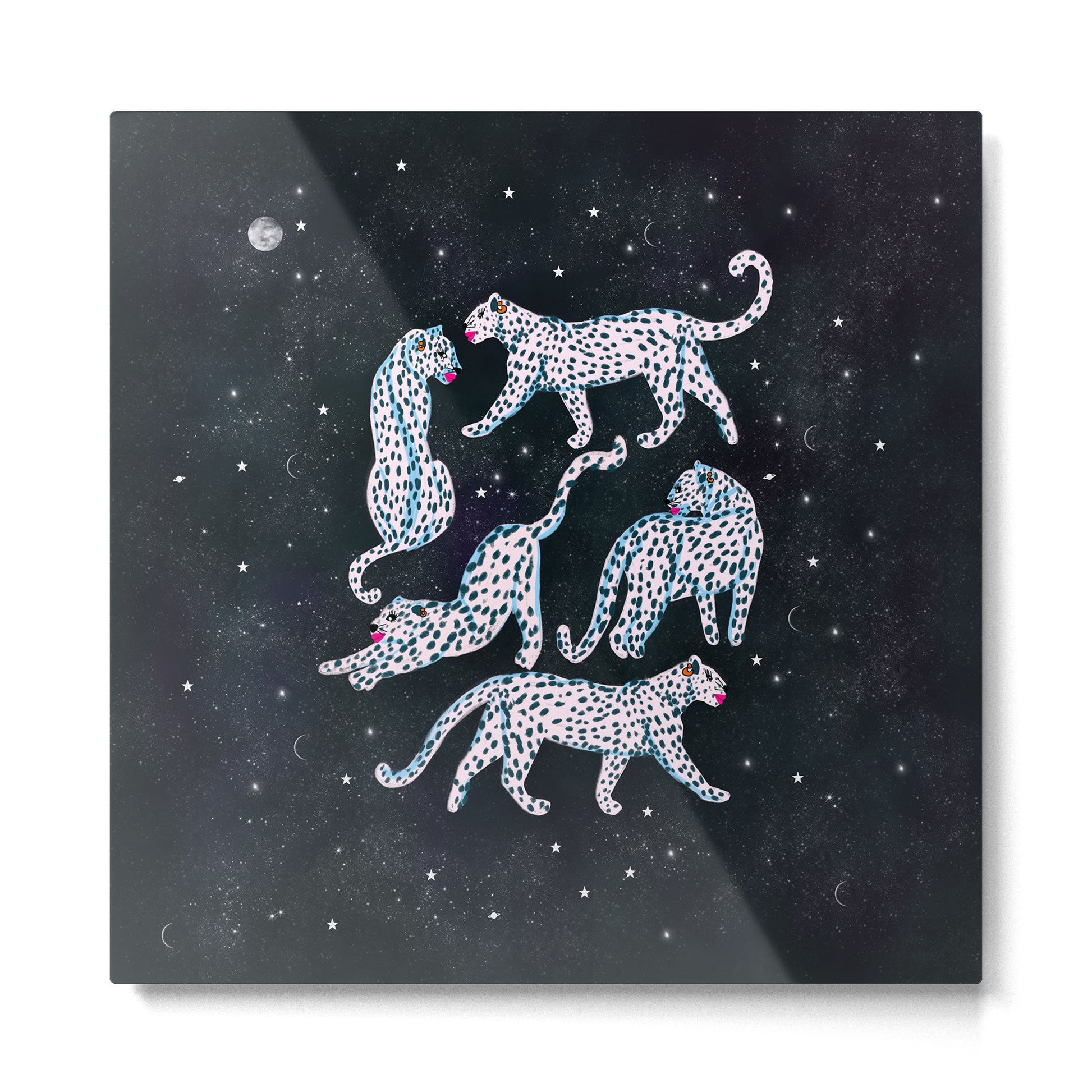 White leopards in space  Metal Print | TeksDecor