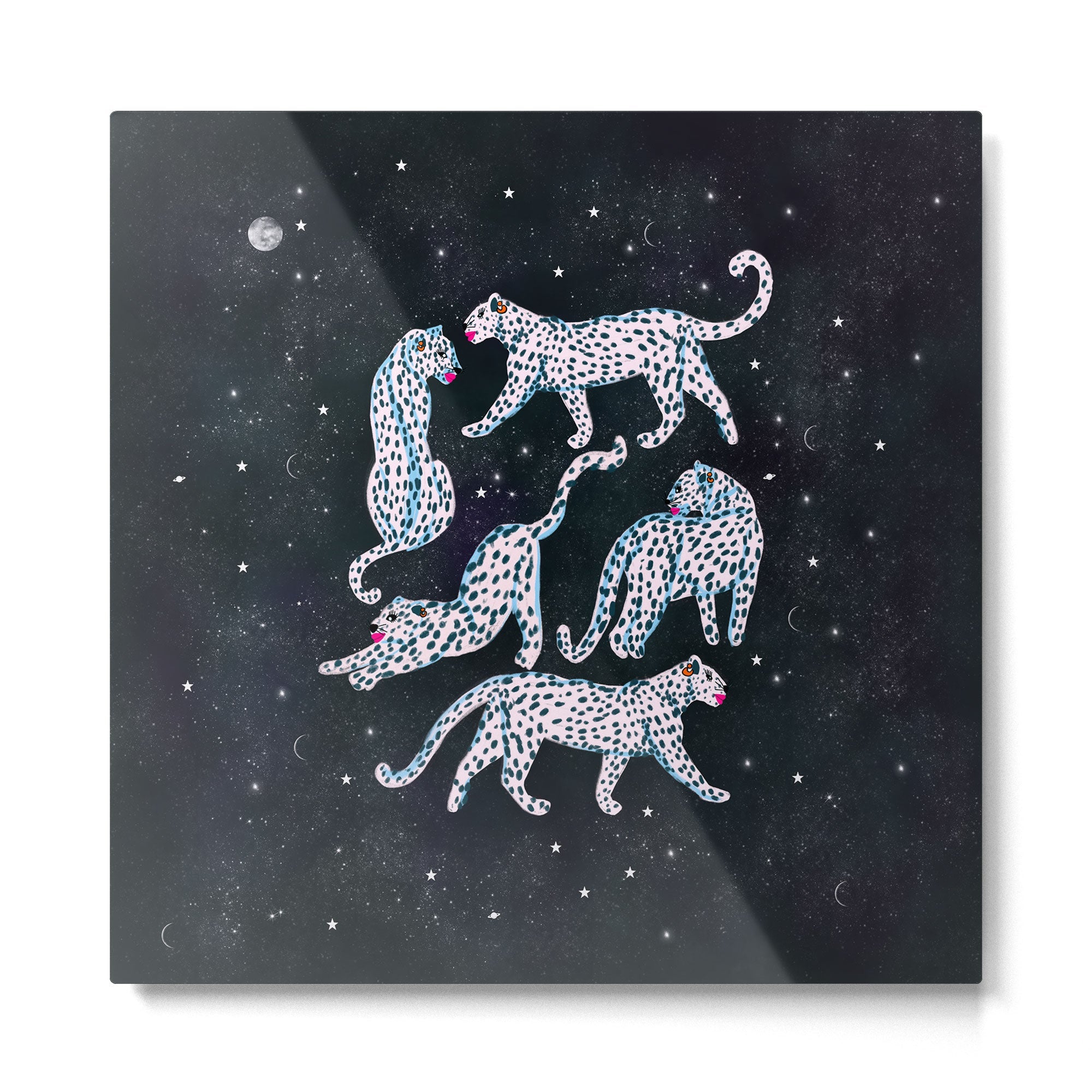 White leopards in space  Metal Print | TeksDecor
