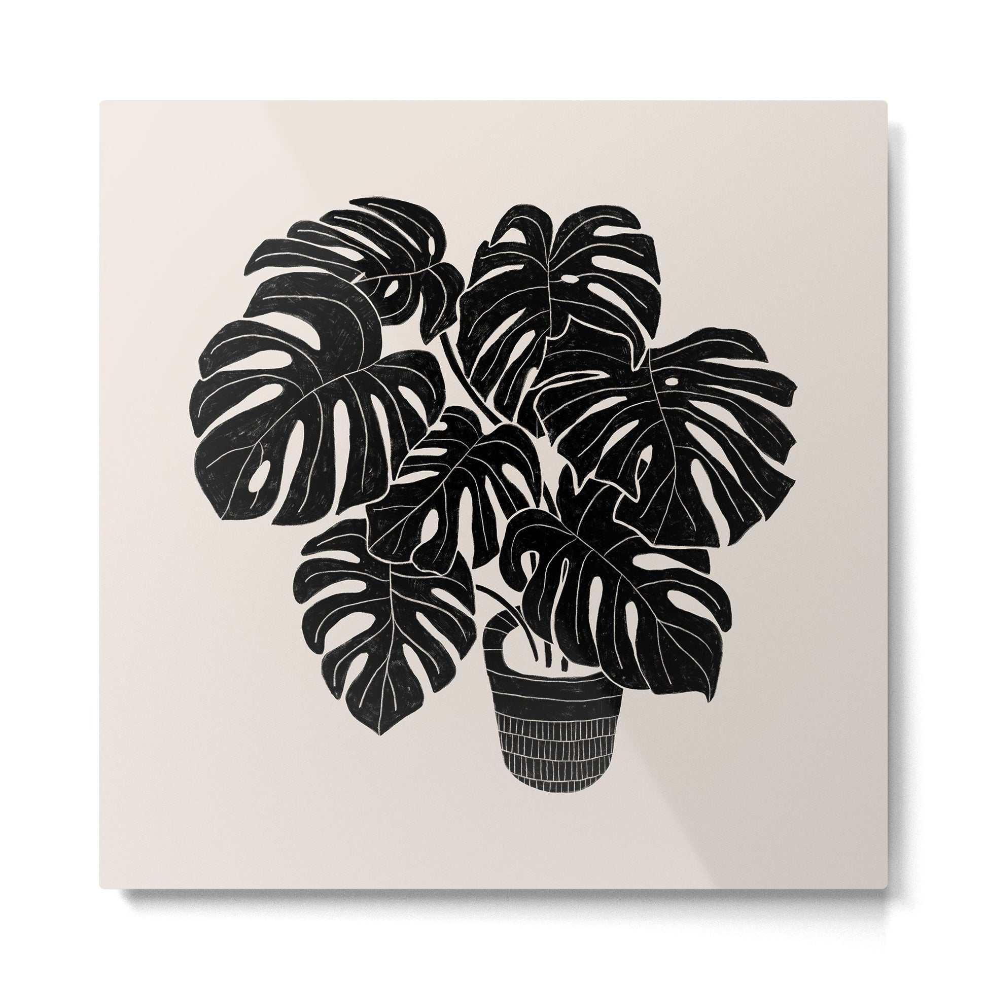 Black & White Plants / Monstera Deliciosa Metal Print | TeksDecor