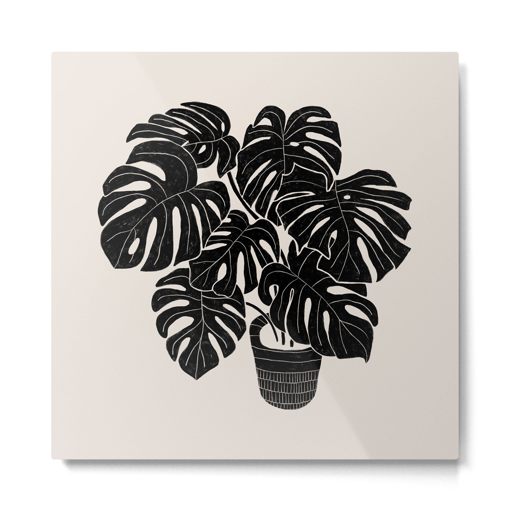 Black & White Plants / Monstera Deliciosa Metal Print | TeksDecor