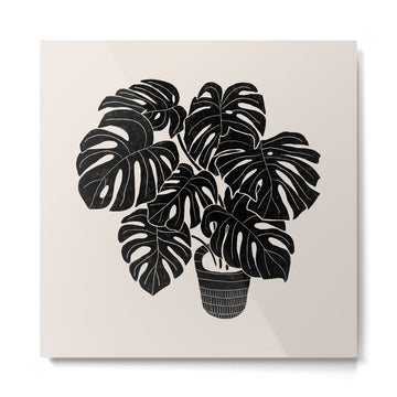 Black & White Plants / Monstera Deliciosa Metal Print | TeksDecor