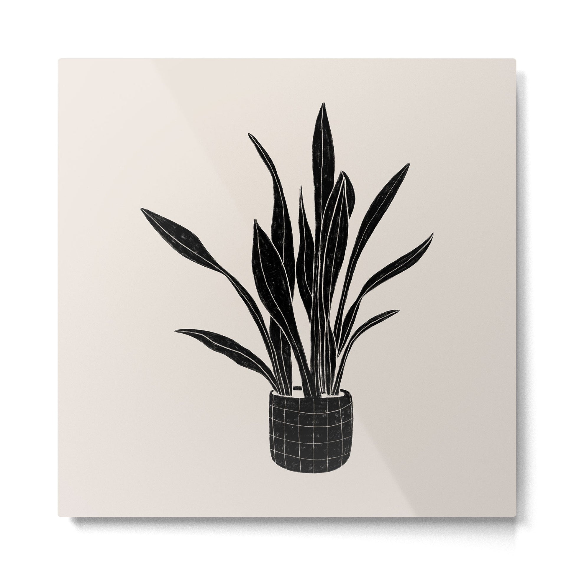 Black & White Plants / Snake Plant Metal Print | TeksDecor