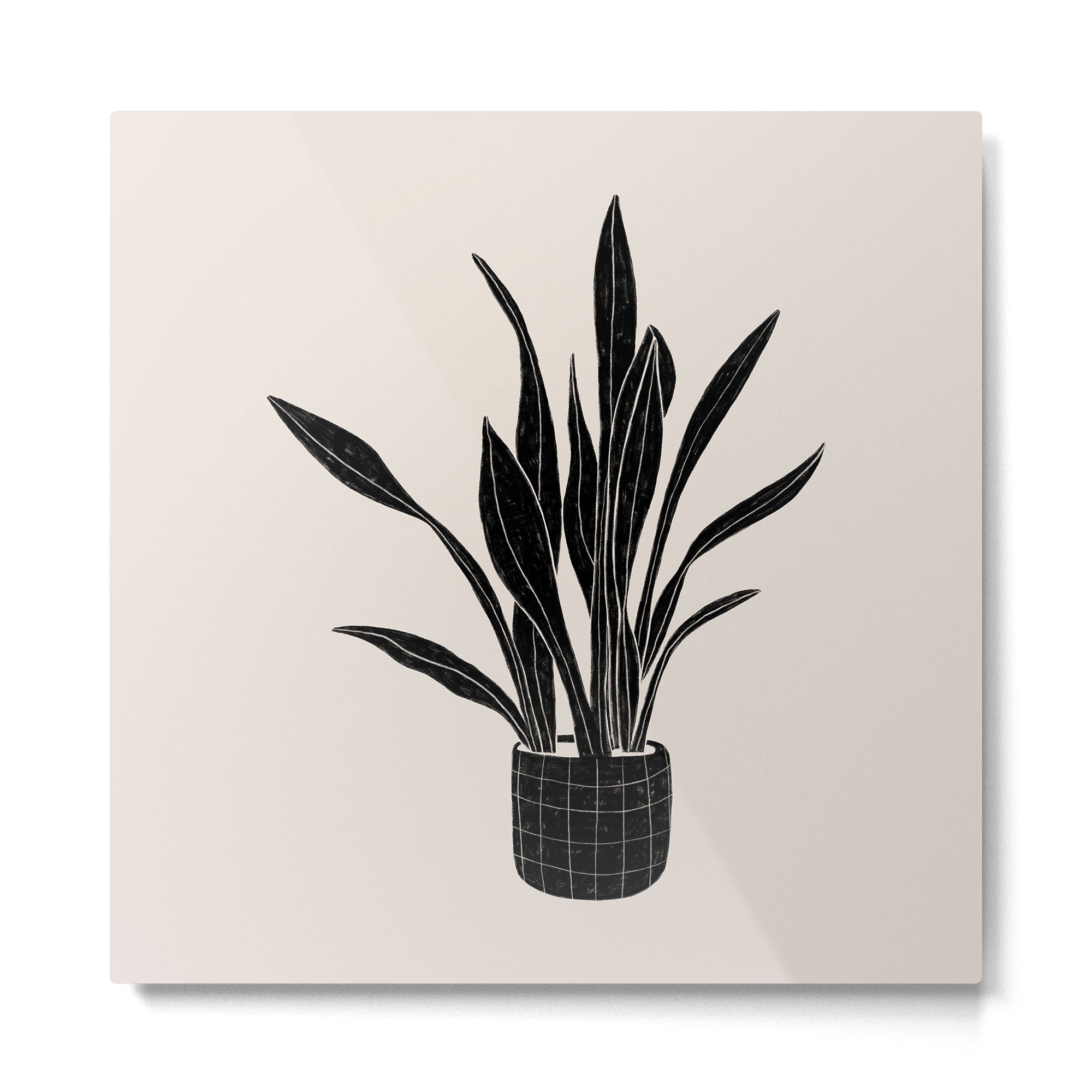 Black & White Plants / Snake Plant Metal Print | TeksDecor