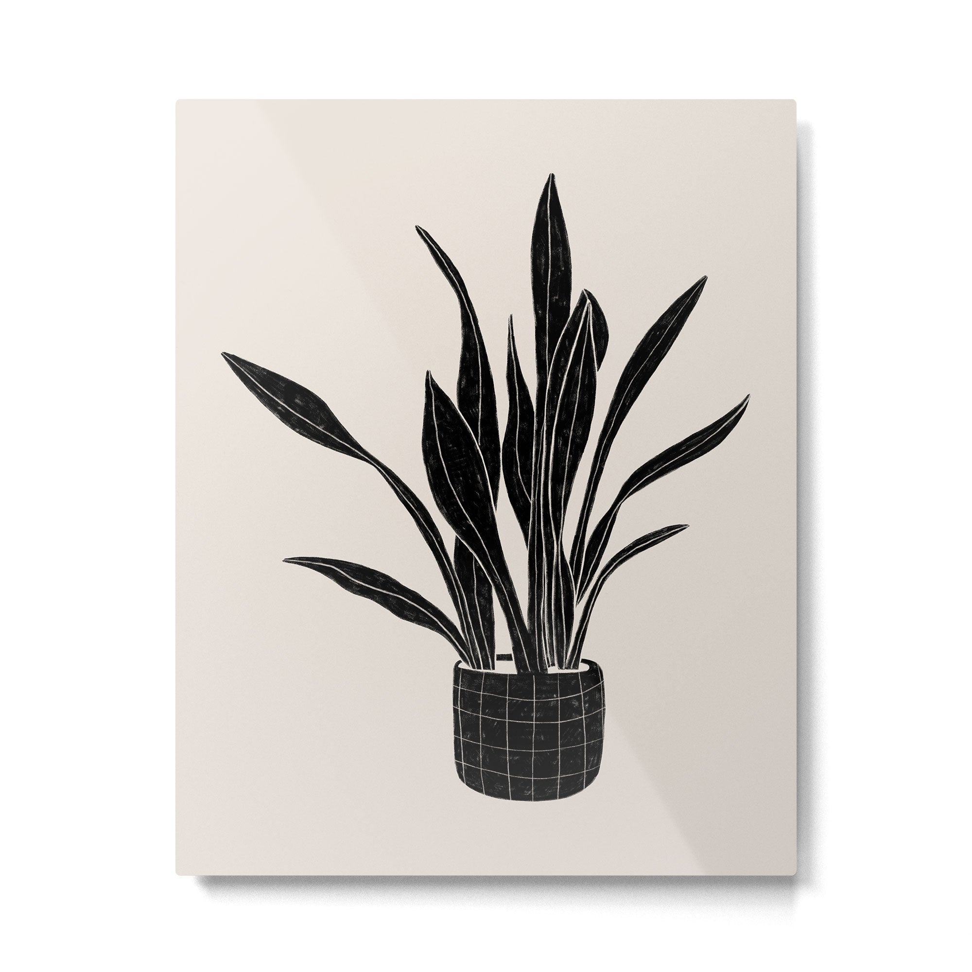 Black & White Plants / Snake Plant Metal Print | TeksDecor