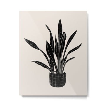 Black & White Plants / Snake Plant Metal Print | TeksDecor