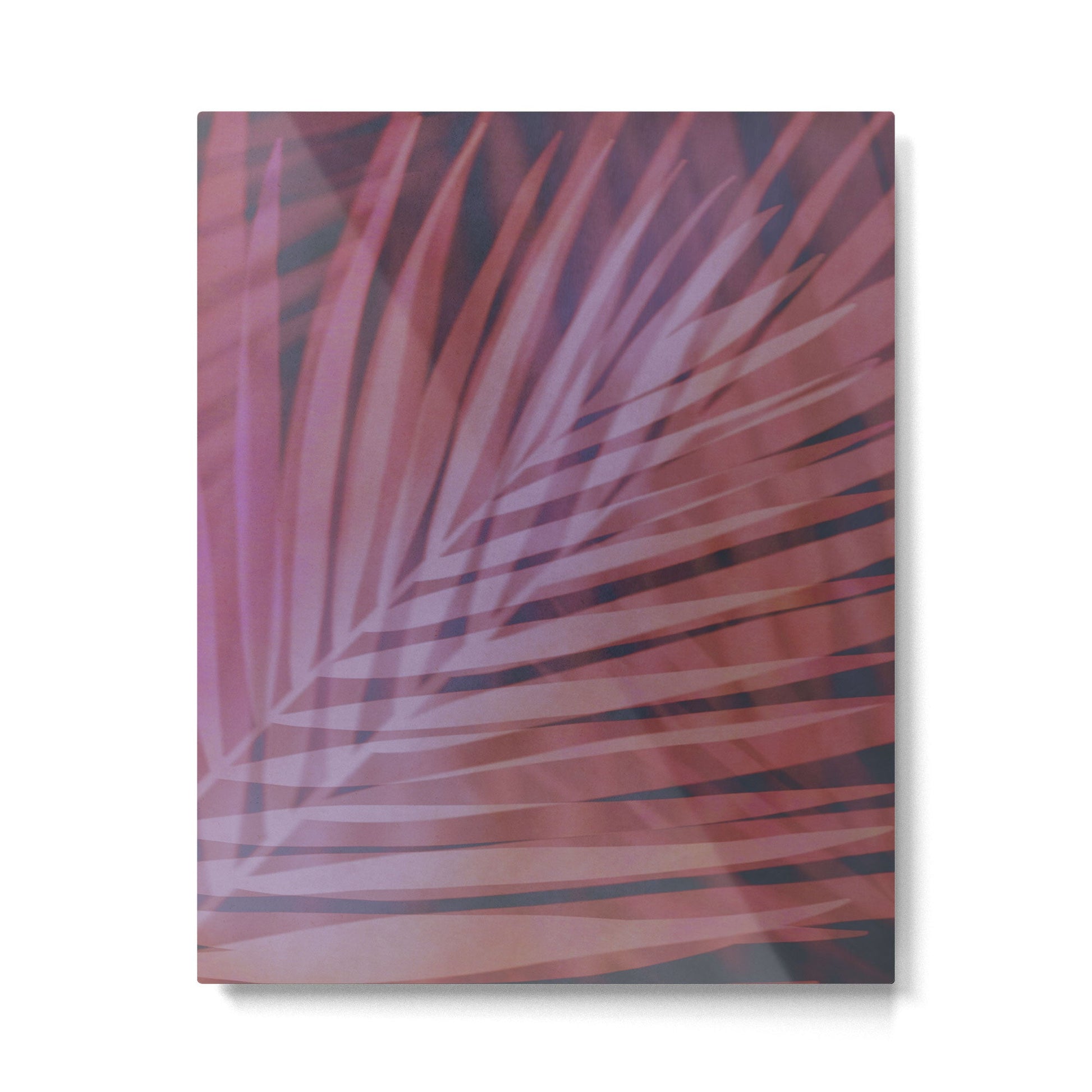 Shadows of Summer II Metal Print | TeksDecor