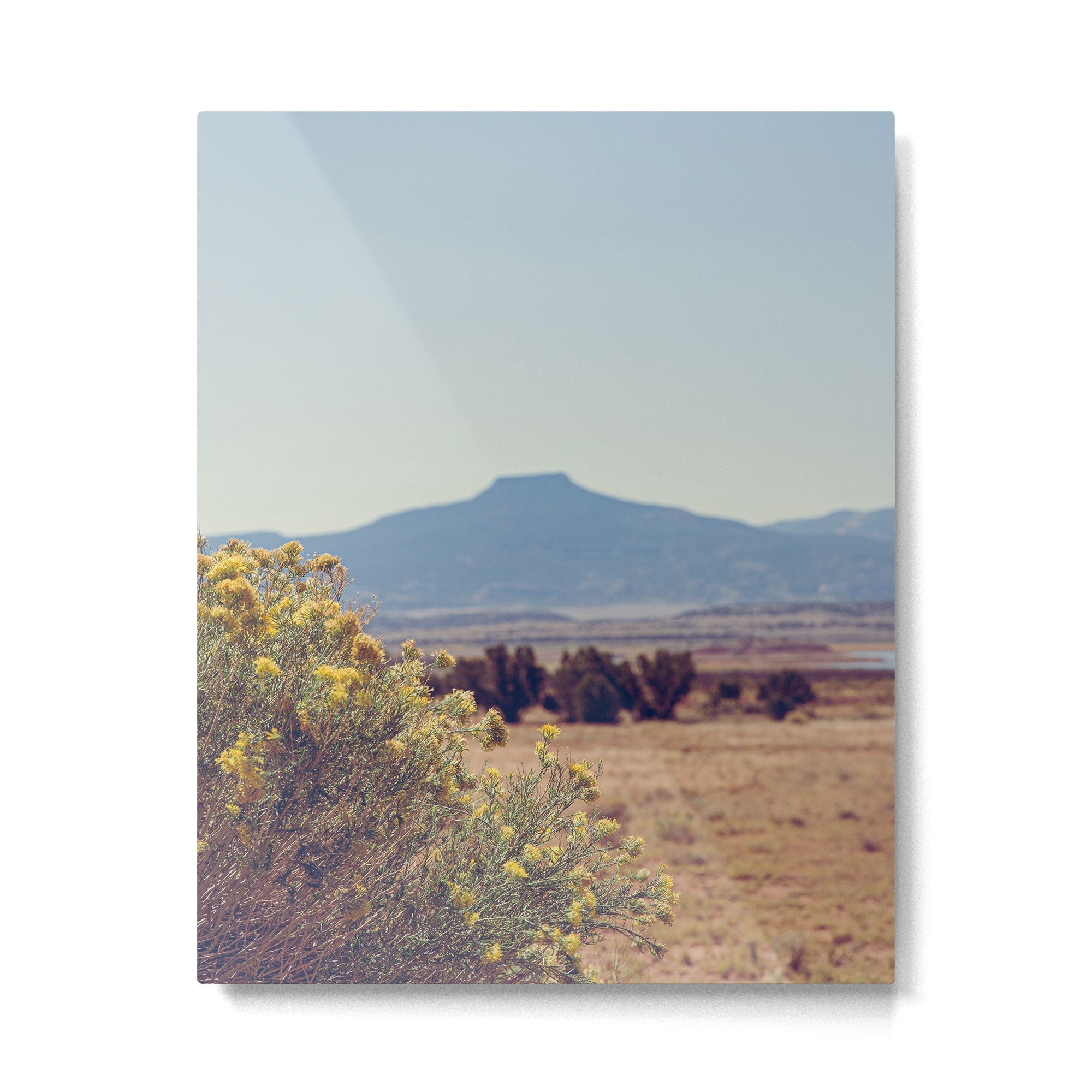 Autumn in New Mexico I Metal Print | TeksDecor