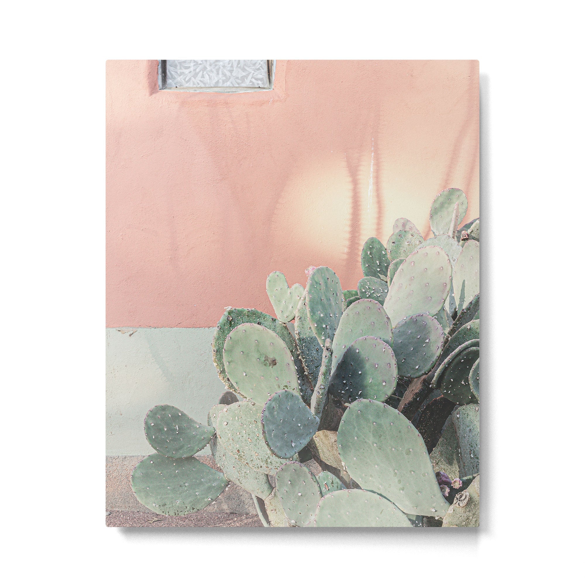 Scenes from Marfa II x Pink Cactus Art Metal Print | TeksDecor
