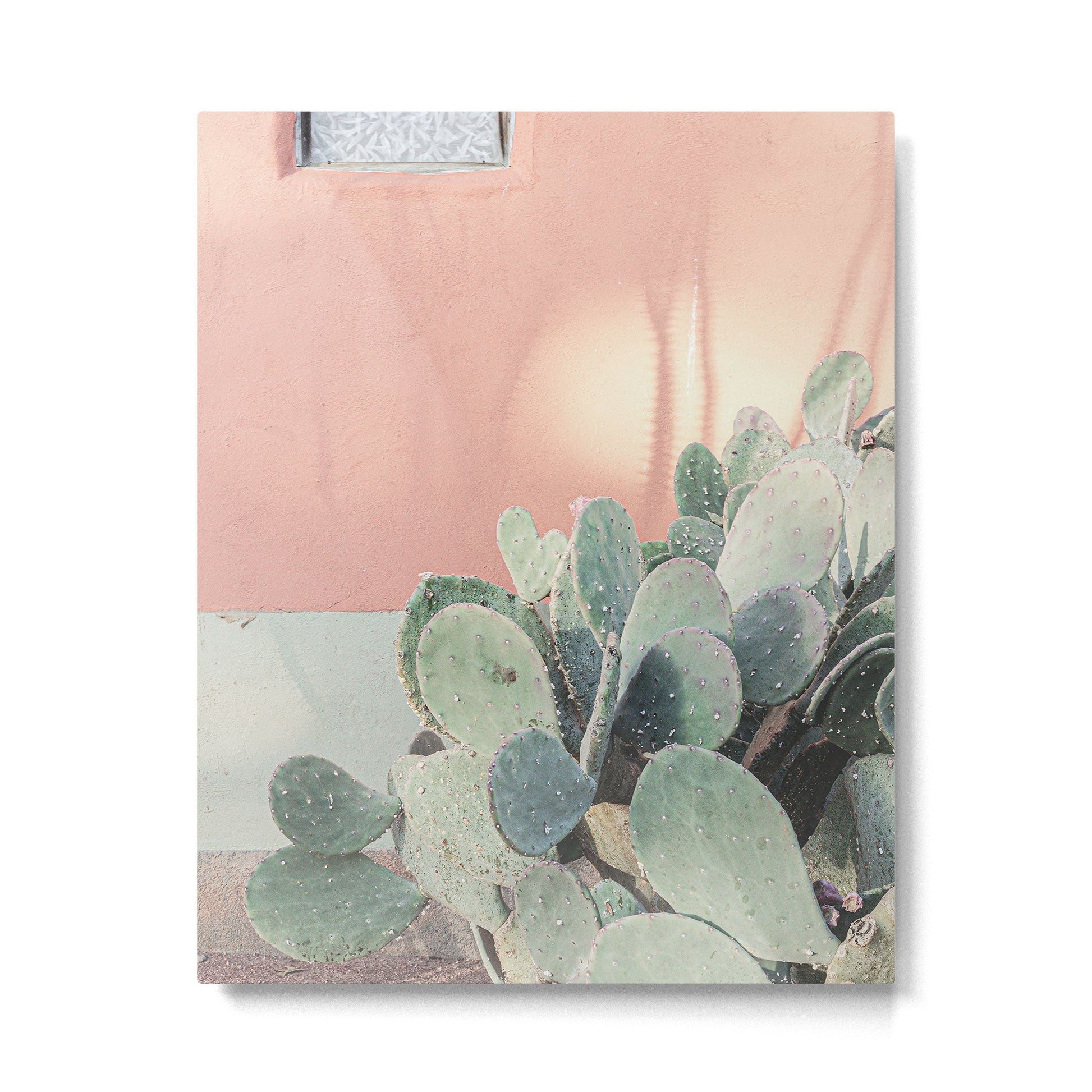 Scenes from Marfa II x Pink Cactus Art Metal Print | TeksDecor