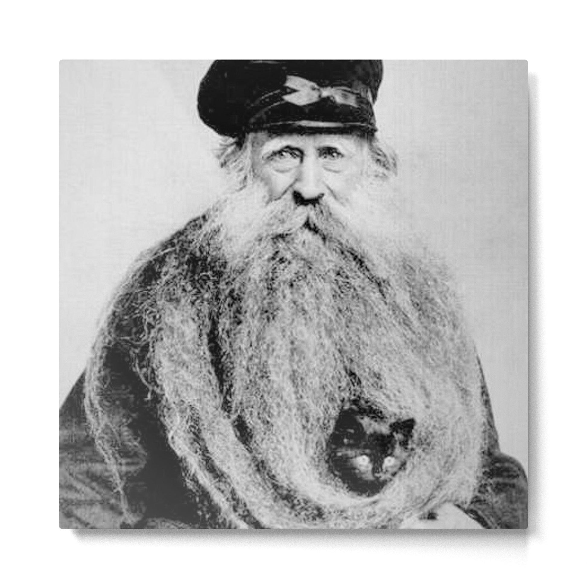 Kitten in the Beard of Old Man black and white photograph Metal Print | TeksDecor