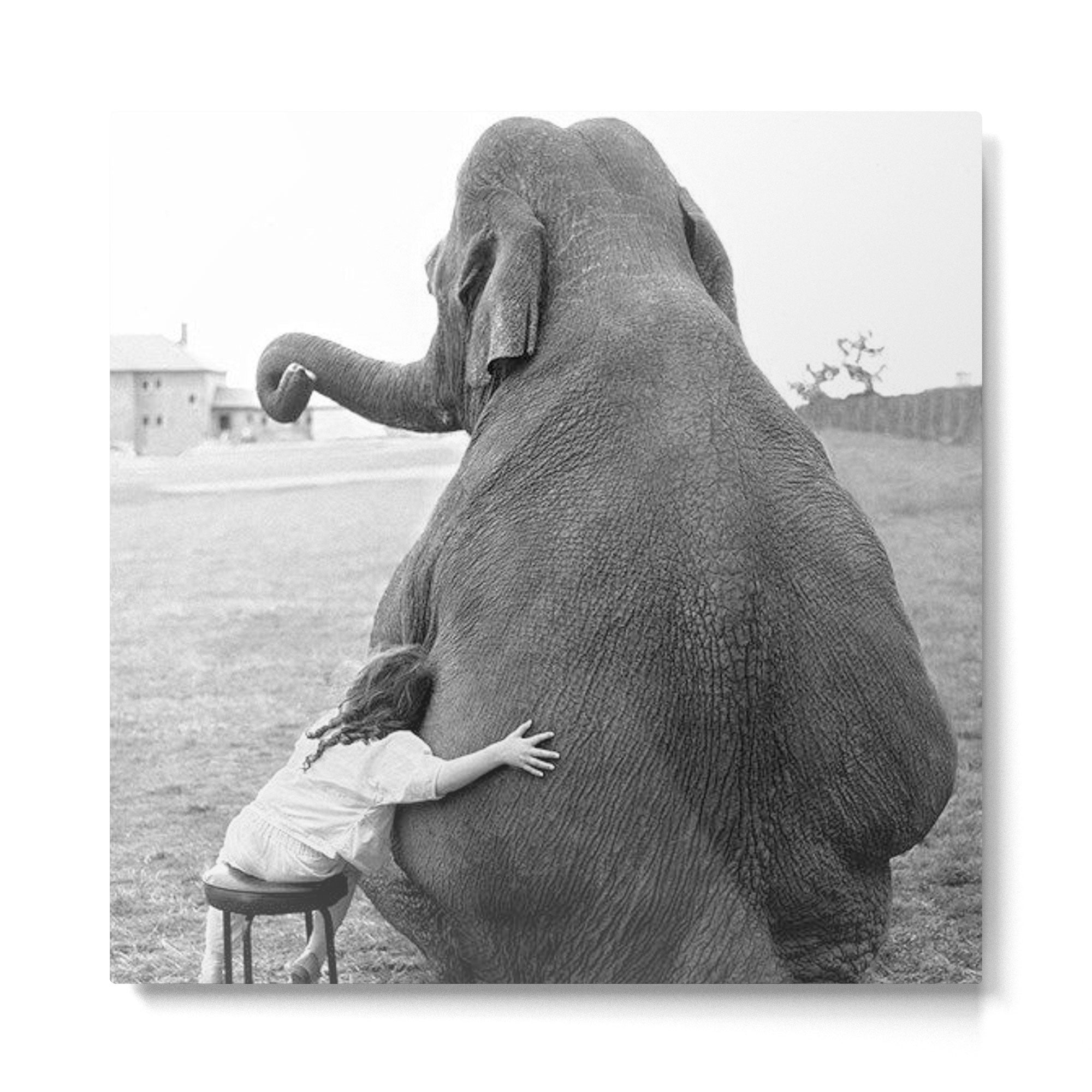 Odd Best Friends, Sweet Little Girl hugging elephant black and white photograph Metal Print | TeksDecor