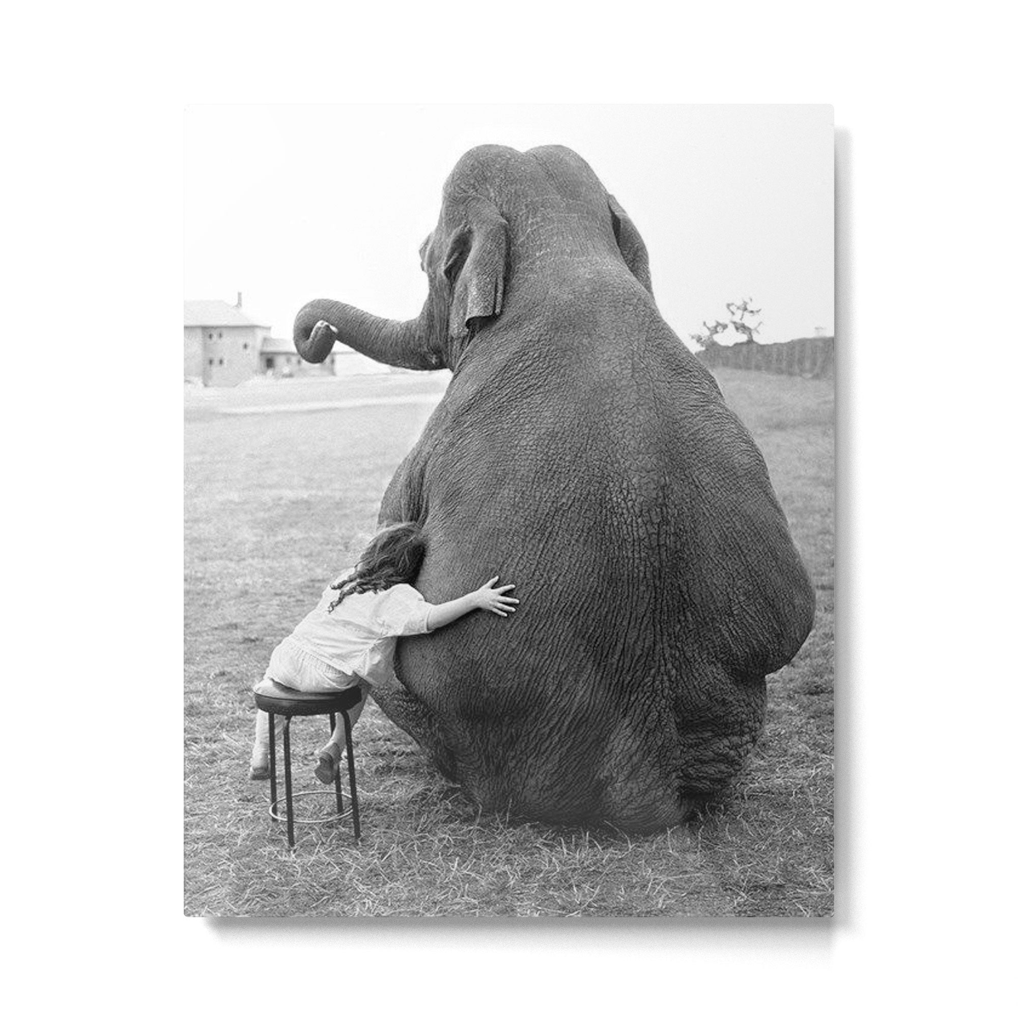 Odd Best Friends, Sweet Little Girl hugging elephant black and white photograph Metal Print | TeksDecor