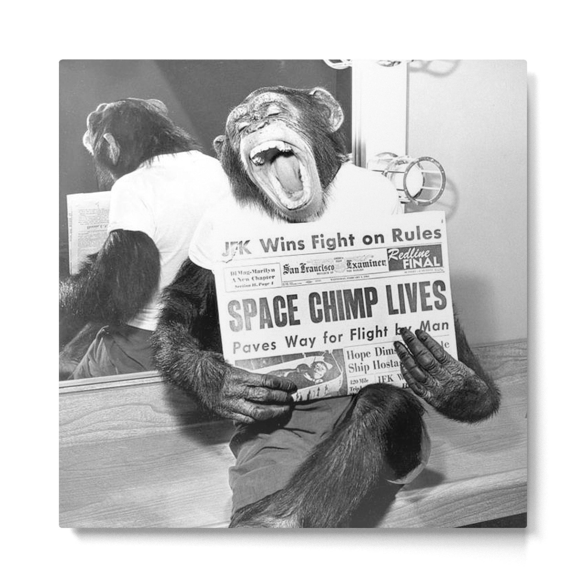 Space Chimp Lives - NASA Moon Flight black and white photograph Metal Print | TeksDecor
