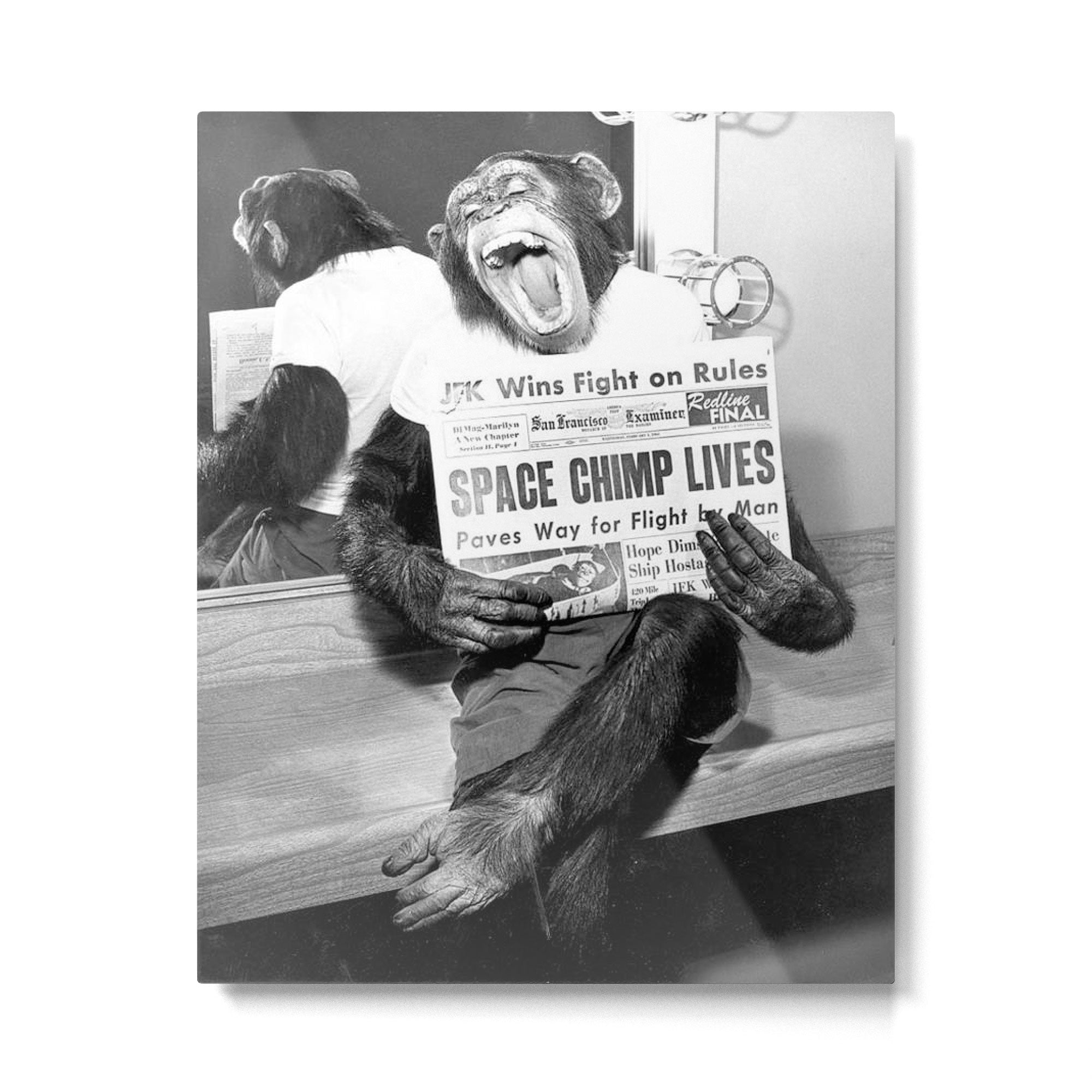 Space Chimp Lives - NASA Moon Flight black and white photograph Metal Print | TeksDecor