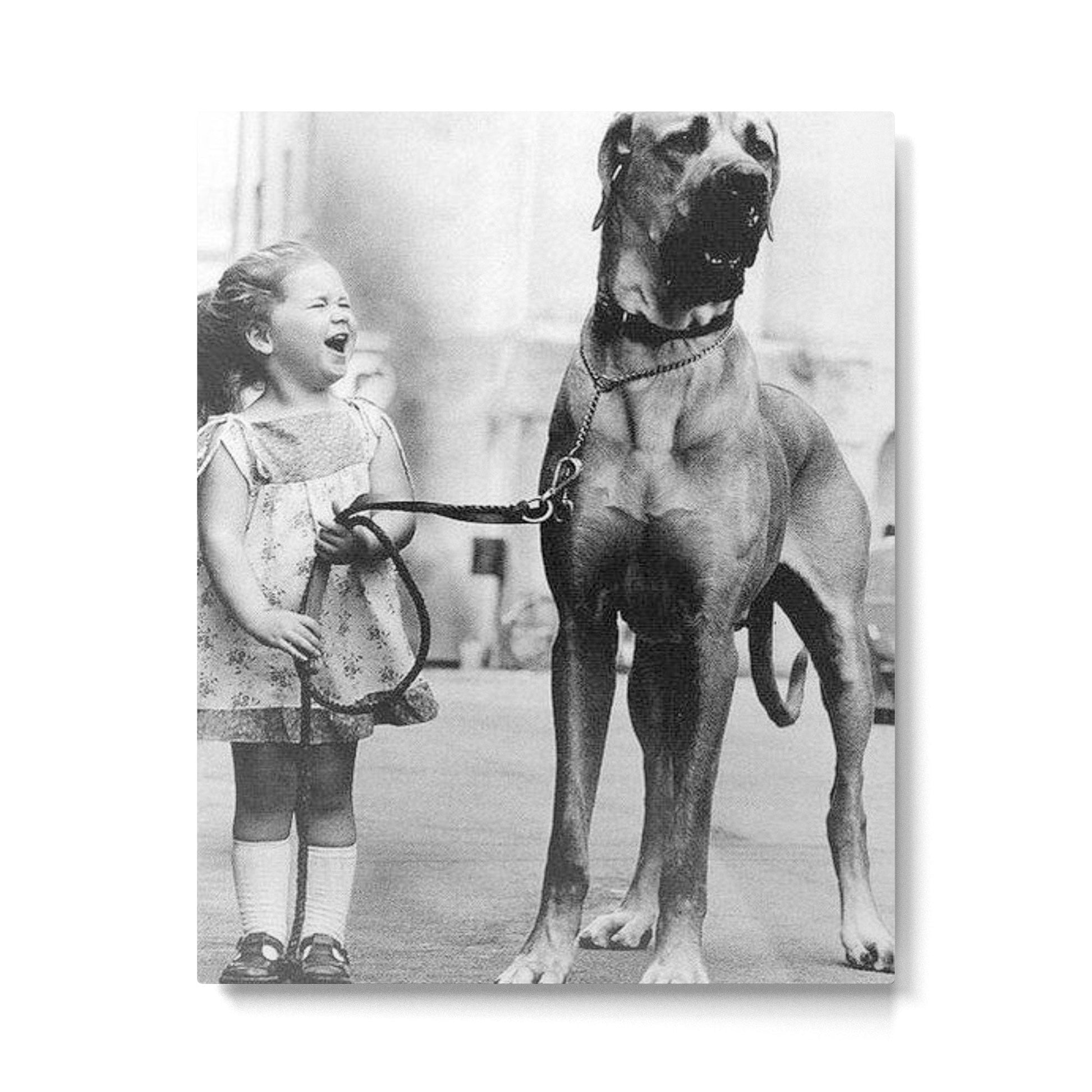 The Happiness of Little Girls and Great Danes black and white photograph Metal Print | TeksDecor