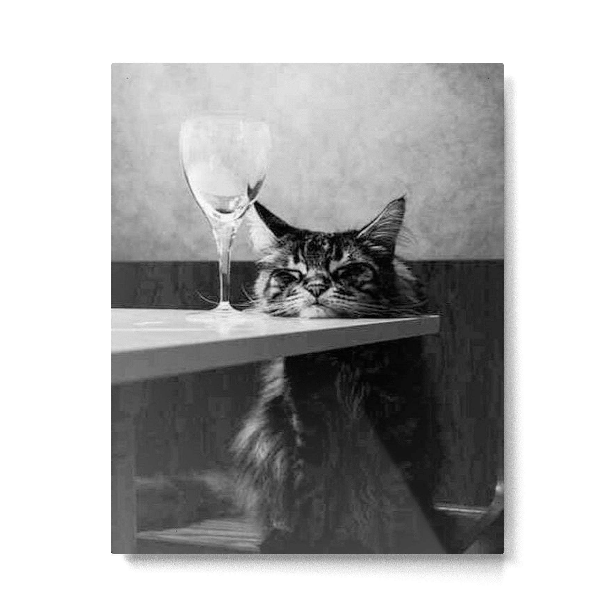 The Nightwatch Cat at the Absinthe bar black and white photograph / art photography Metal Print | TeksDecor