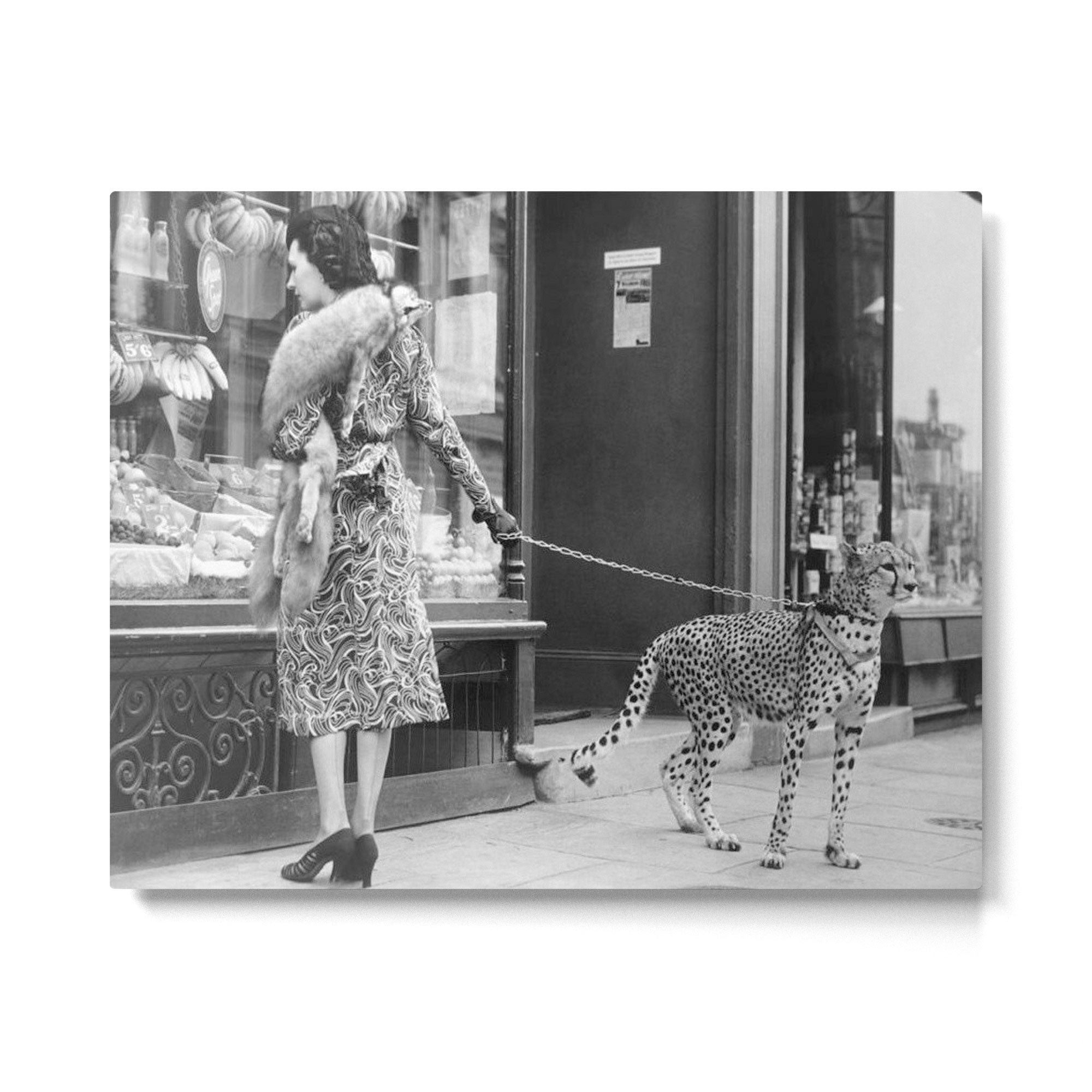 Woman with Cheetah, Phyllis Gordon, with her pet Kenyan cheetah, Paris, France black and white photo Metal Print | TeksDecor