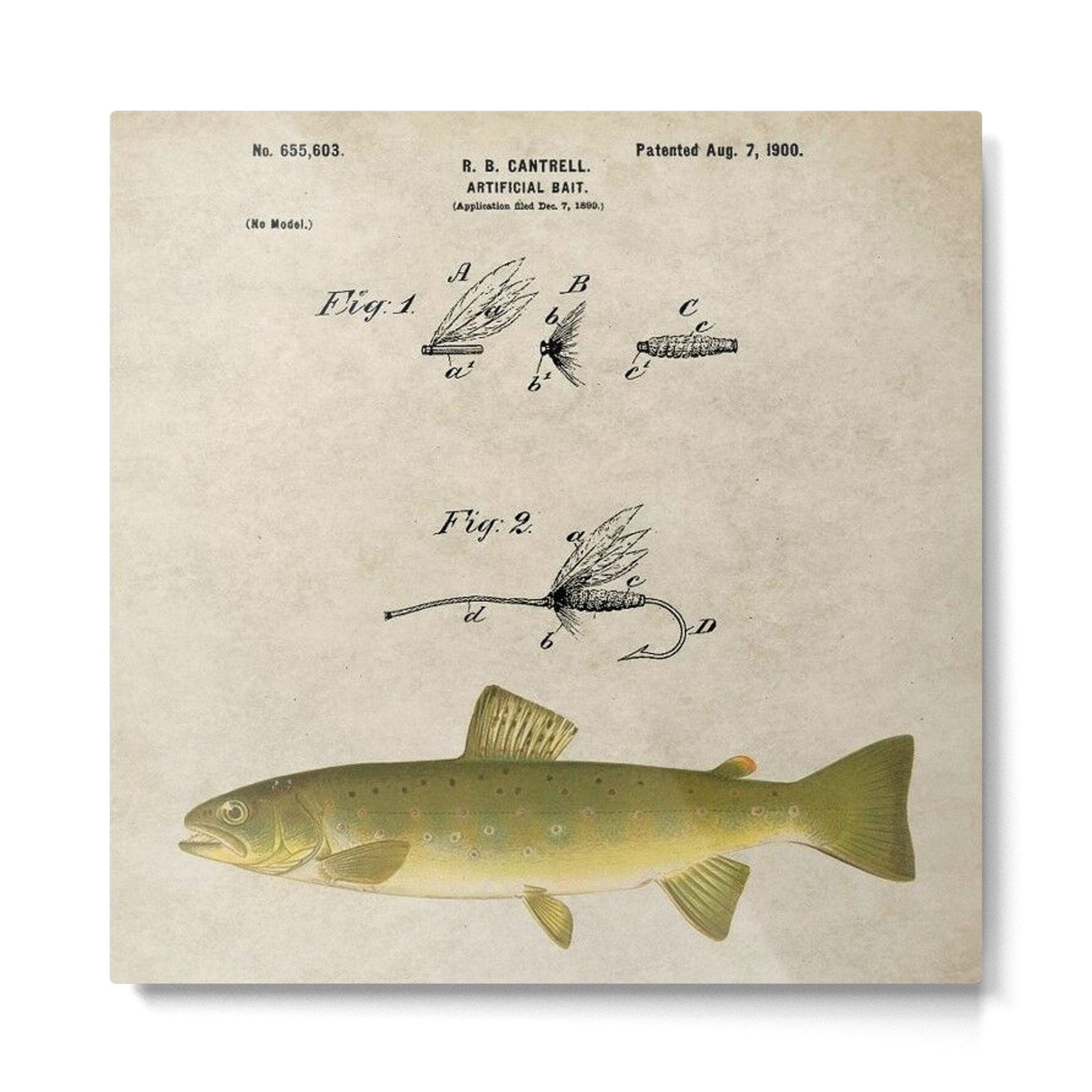 Vintage Brown Trout Fly Fishing Lure Patent Game Fish Identification Chart Metal Print | TeksDecor