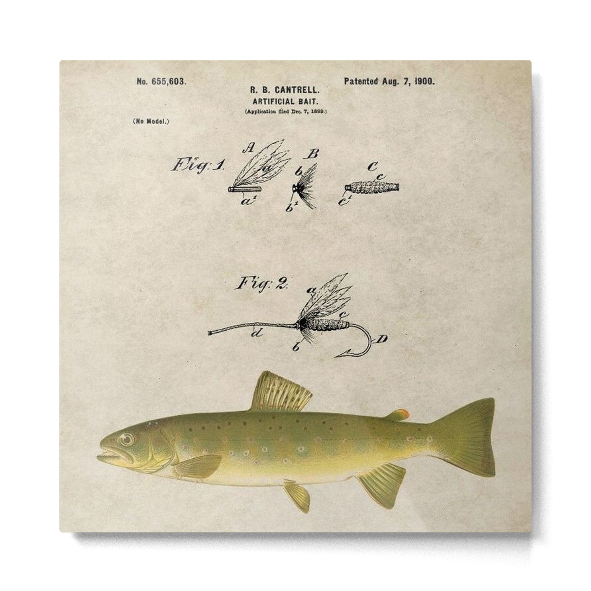 Vintage Brown Trout Fly Fishing Lure Patent Game Fish Identification Chart Metal Print | TeksDecor