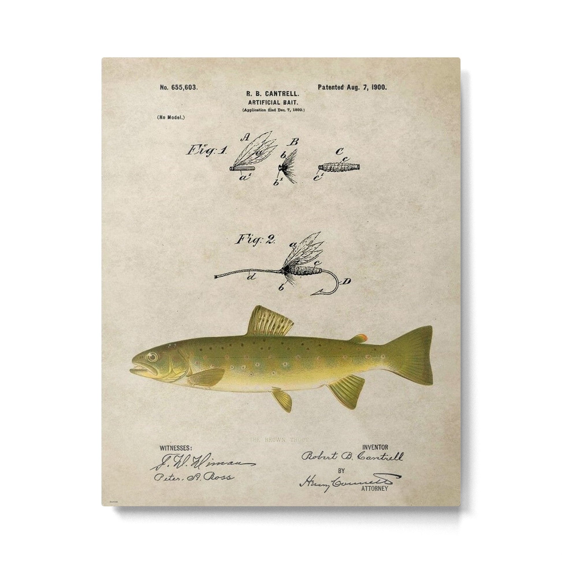 Vintage Brown Trout Fly Fishing Lure Patent Game Fish Identification Chart Metal Print | TeksDecor