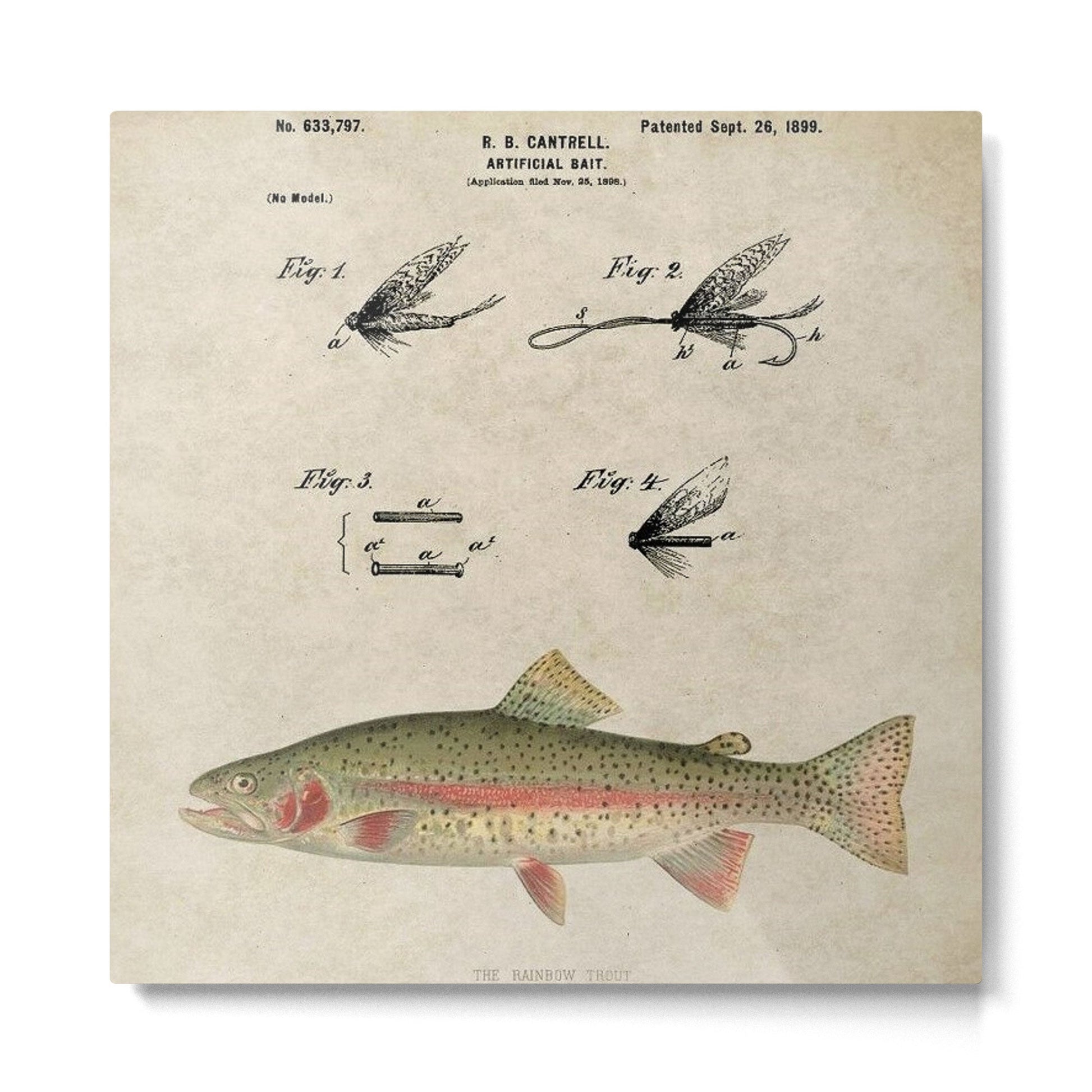 Vintage Rainbow Trout Fly Fishing Lure Patent Game Fish Identification Chart Metal Print | TeksDecor