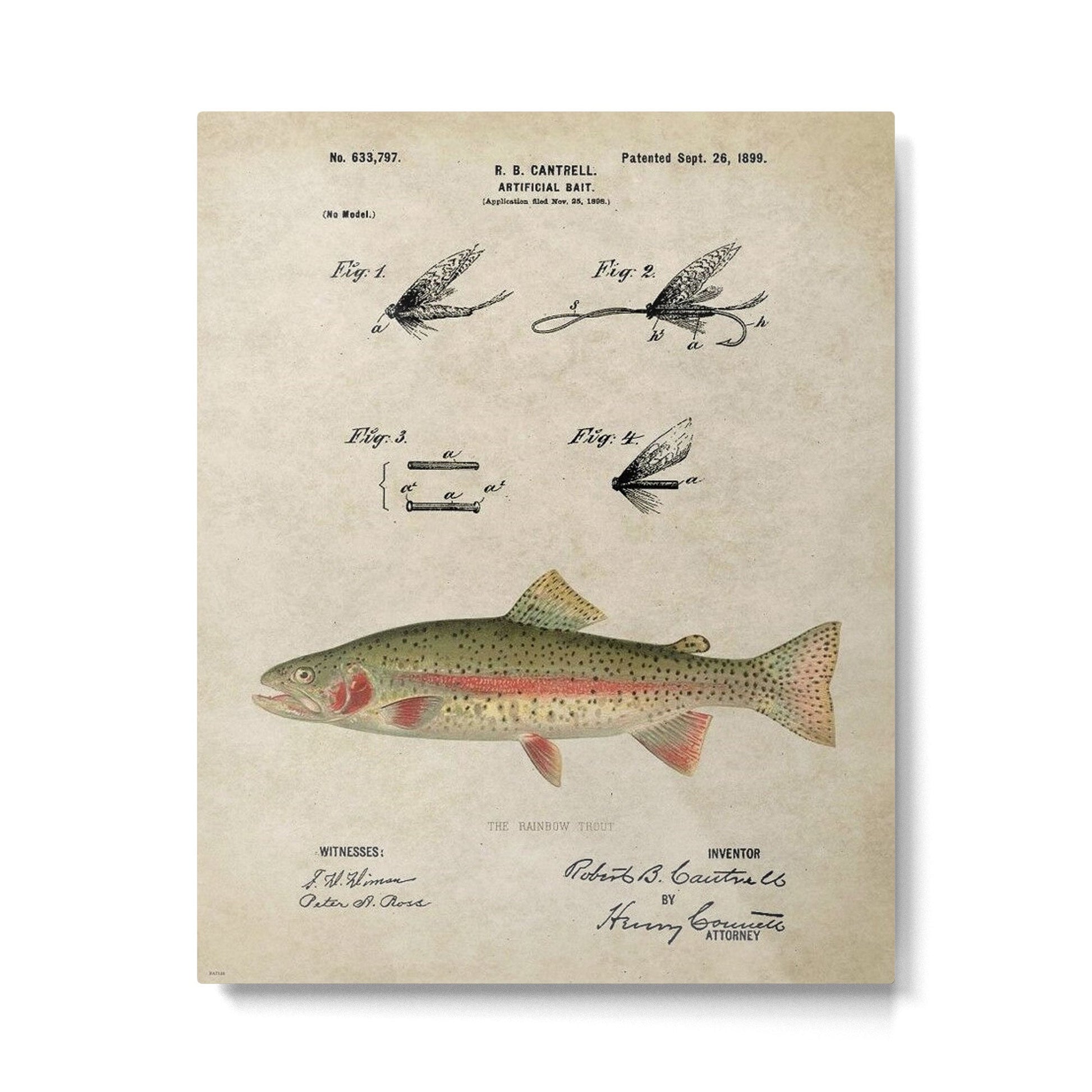 Vintage Rainbow Trout Fly Fishing Lure Patent Game Fish Identification Chart Metal Print | TeksDecor