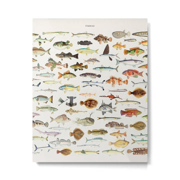 Illustrated Colorful Southern Pacific Exotic Game Fish Identification Chart Metal Print | TeksDecor