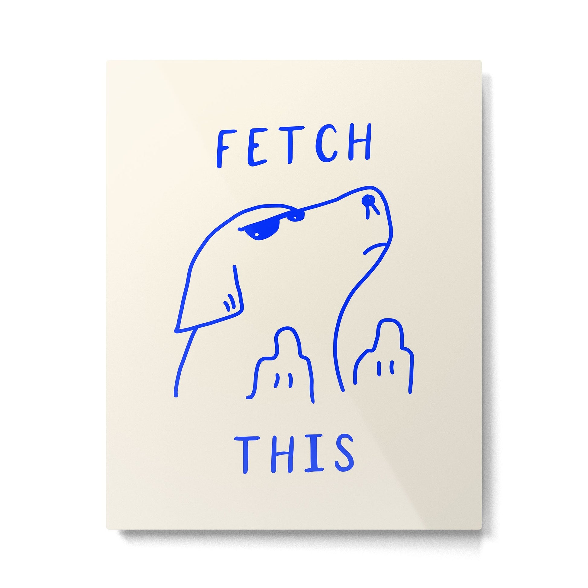 Fetch This Metal Print | TeksDecor