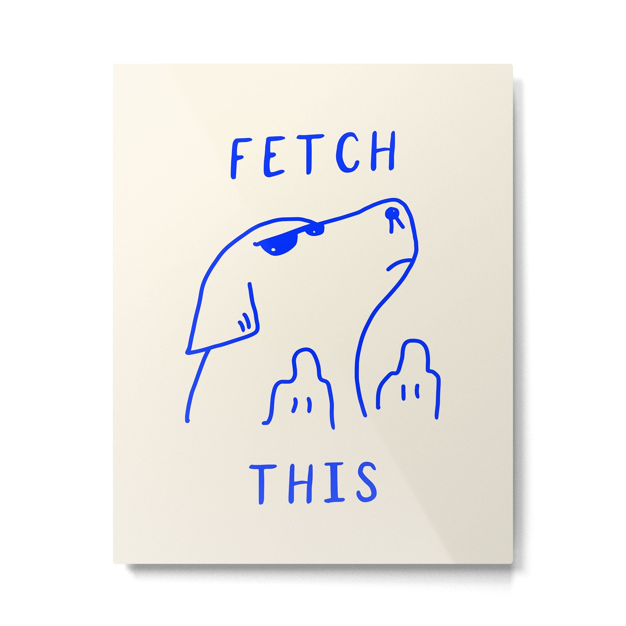 Fetch This Metal Print | TeksDecor