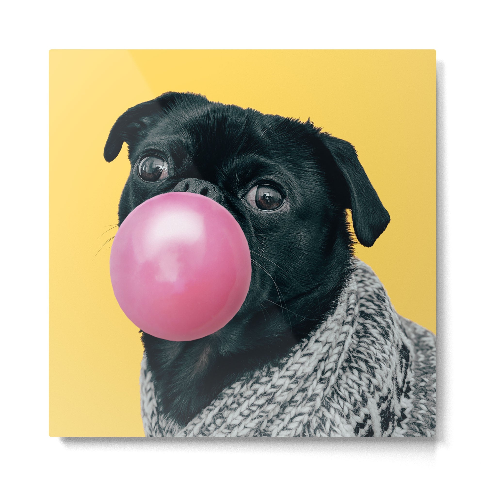 Pug Life: Pop Animals Metal Print | TeksDecor