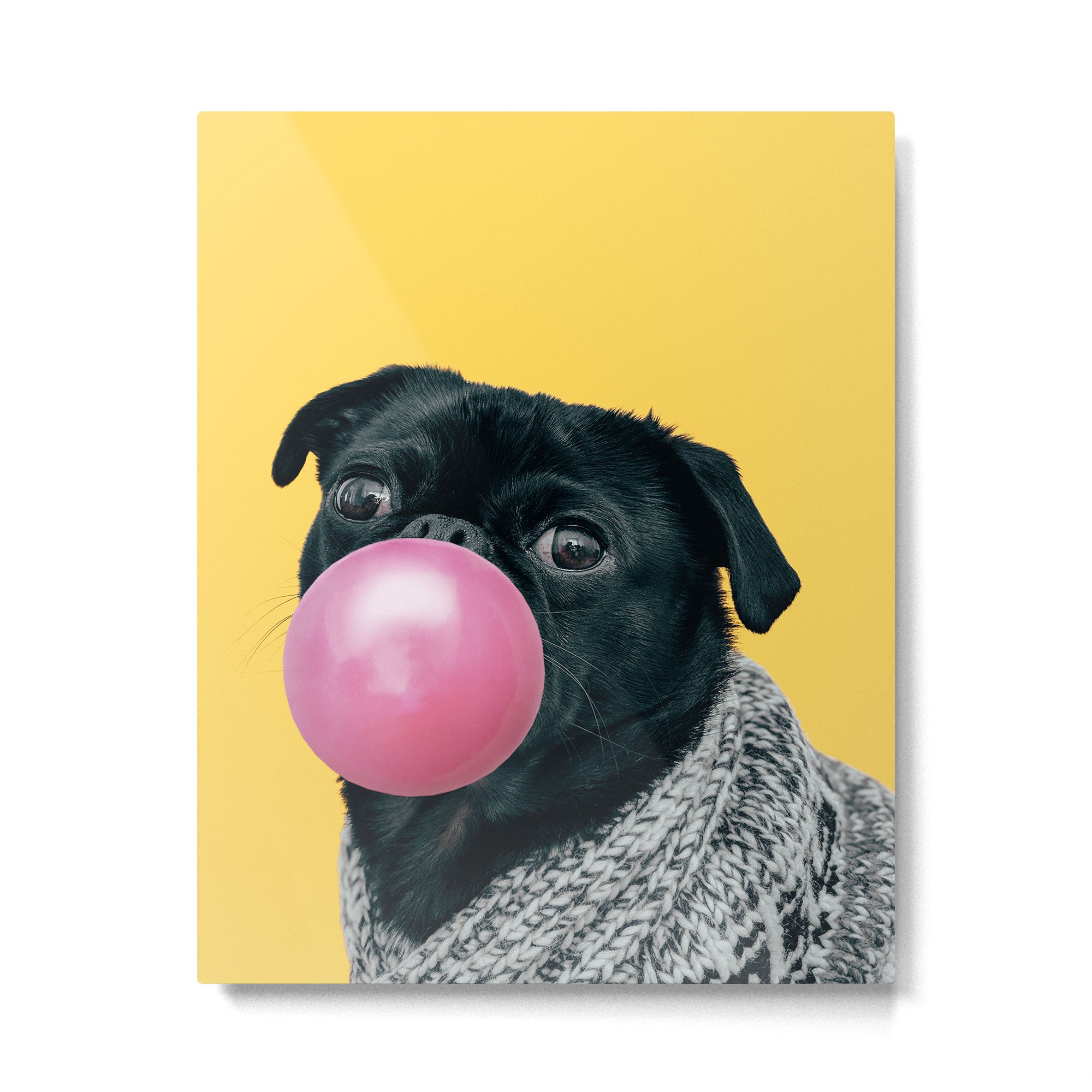 Pug Life: Pop Animals Metal Print | TeksDecor
