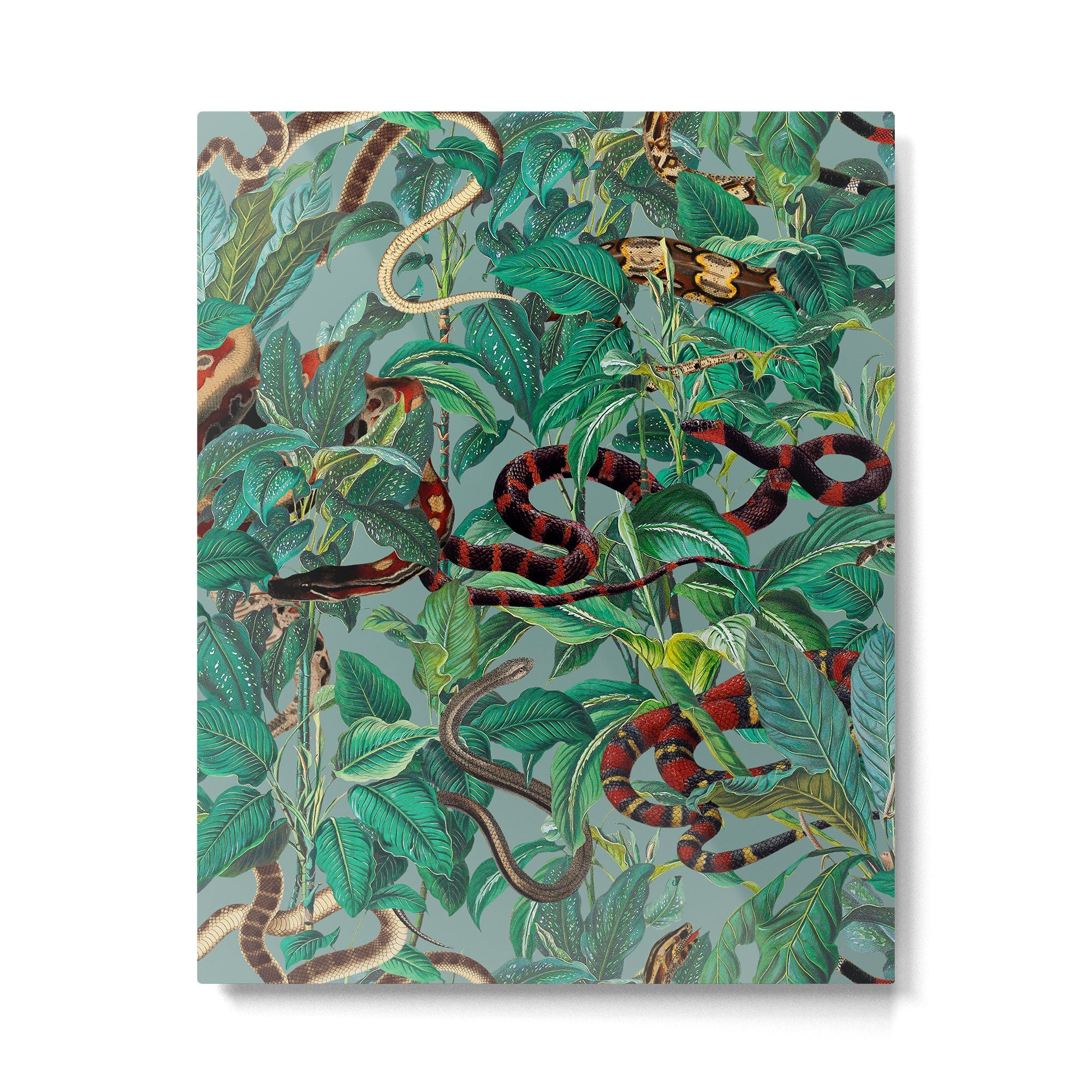 Leaf and Snake pattern Metal Print | TeksDecor