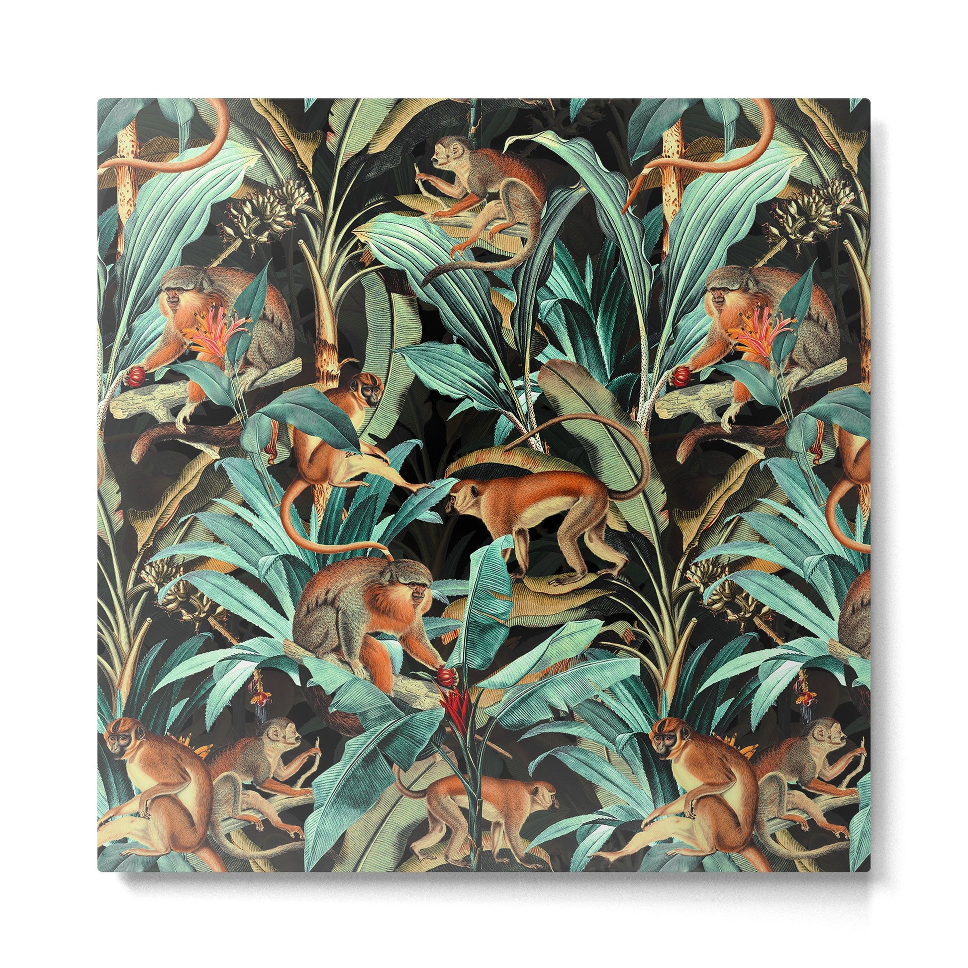 Monkey Tropical Jungle Metal Print | TeksDecor