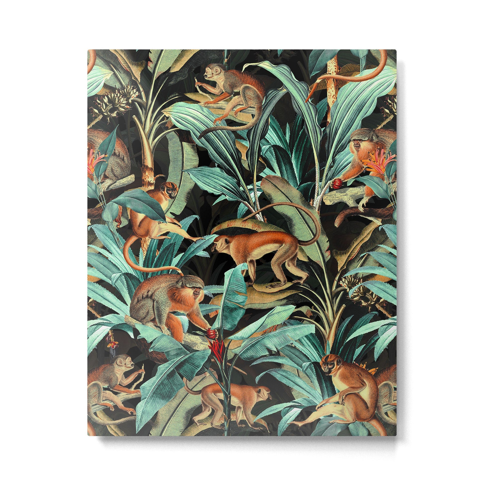 Monkey Tropical Jungle Metal Print | TeksDecor