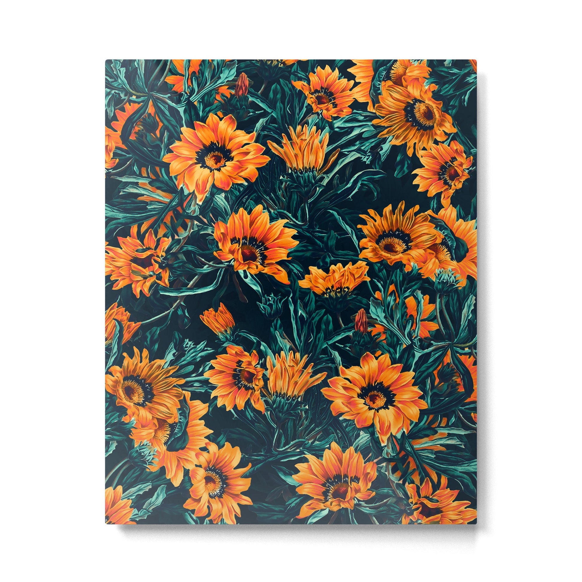 Summer Dreams - Gazania II Metal Print | TeksDecor