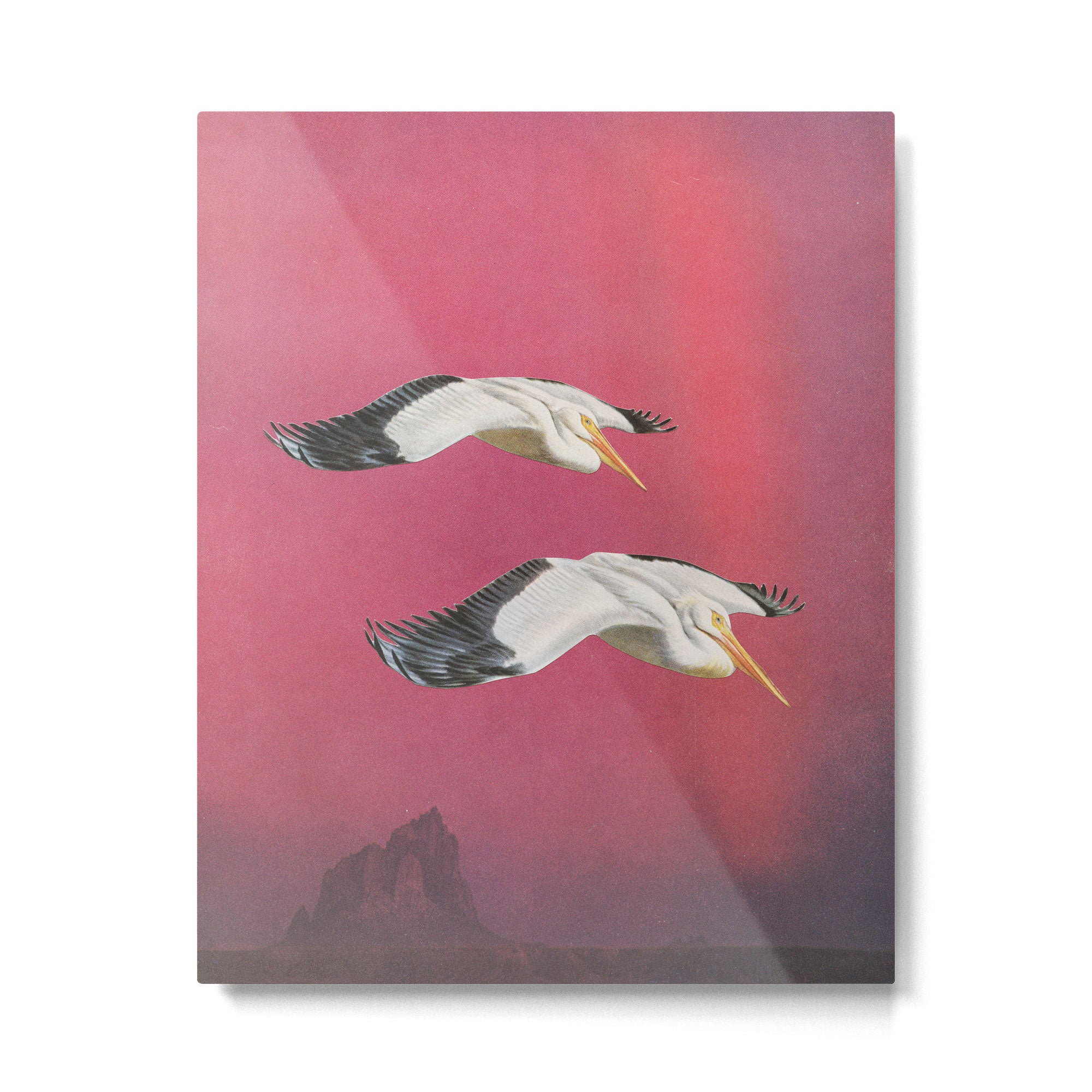 Pelicans in Space Metal Print | TeksDecor