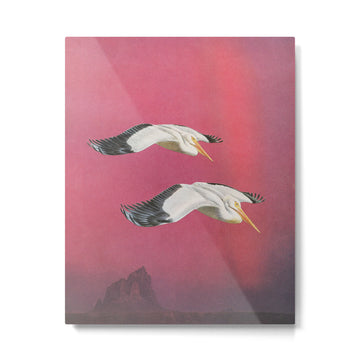Pelicans in Space Metal Print | TeksDecor