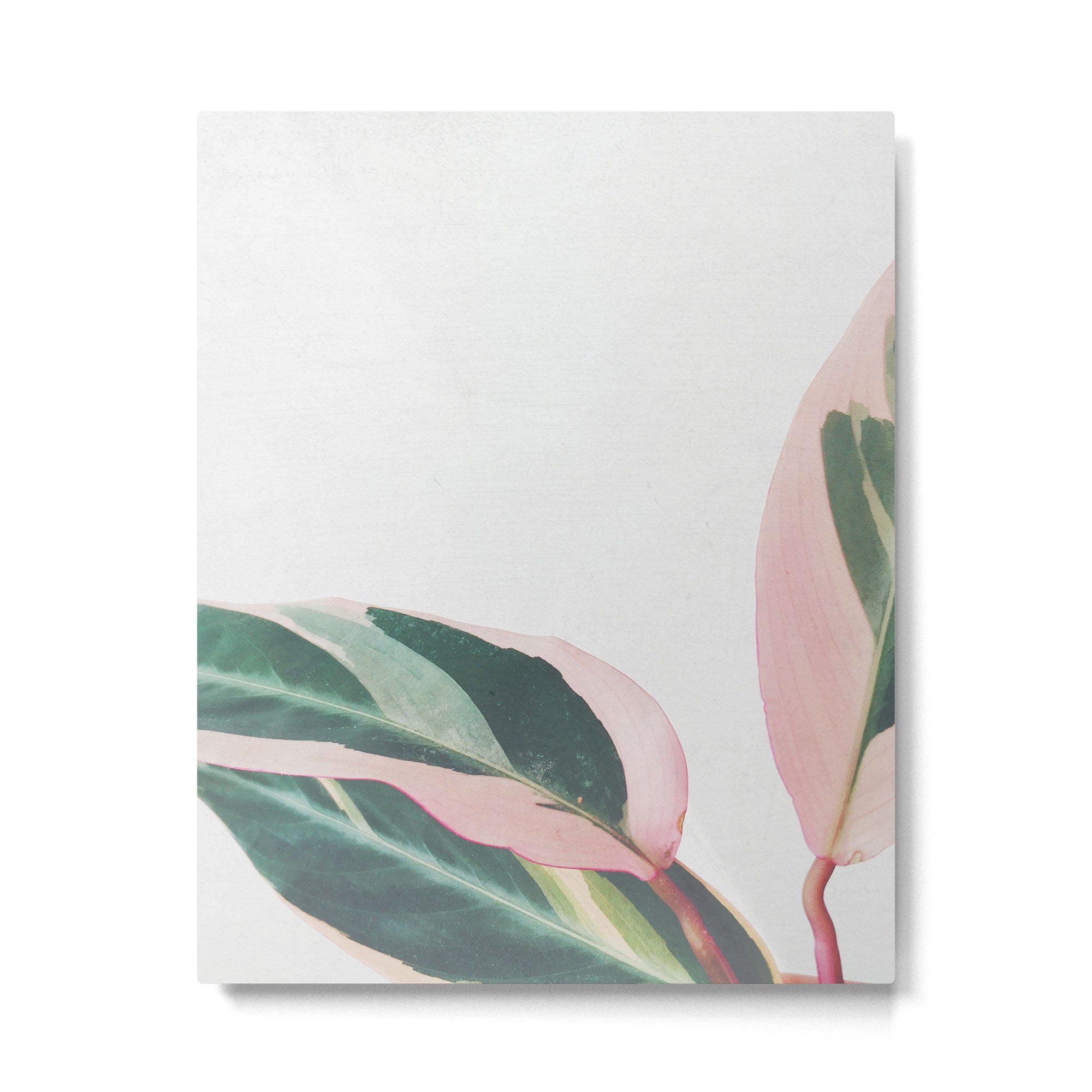 Pink Leaves II Metal Print | TeksDecor