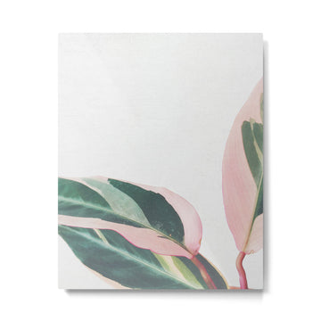 Pink Leaves II Metal Print | TeksDecor