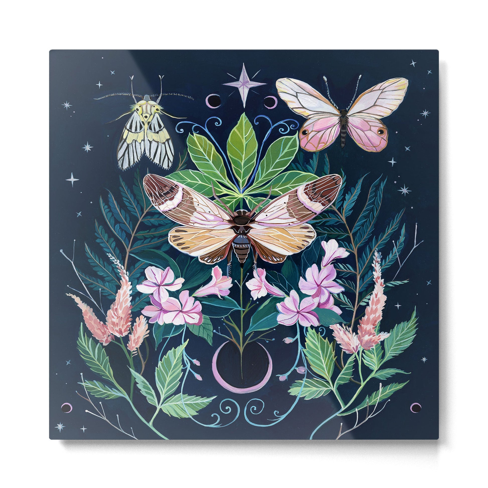 Cicada Moon Metal Print | TeksDecor