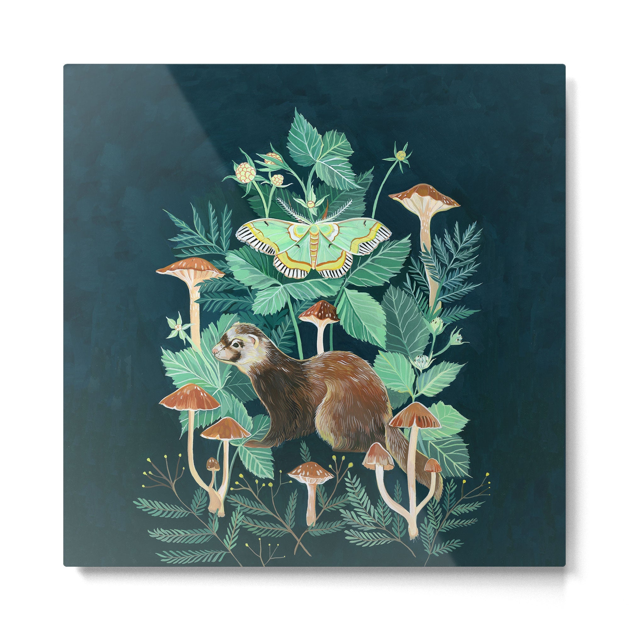 Ferret and Moth Metal Print | TeksDecor