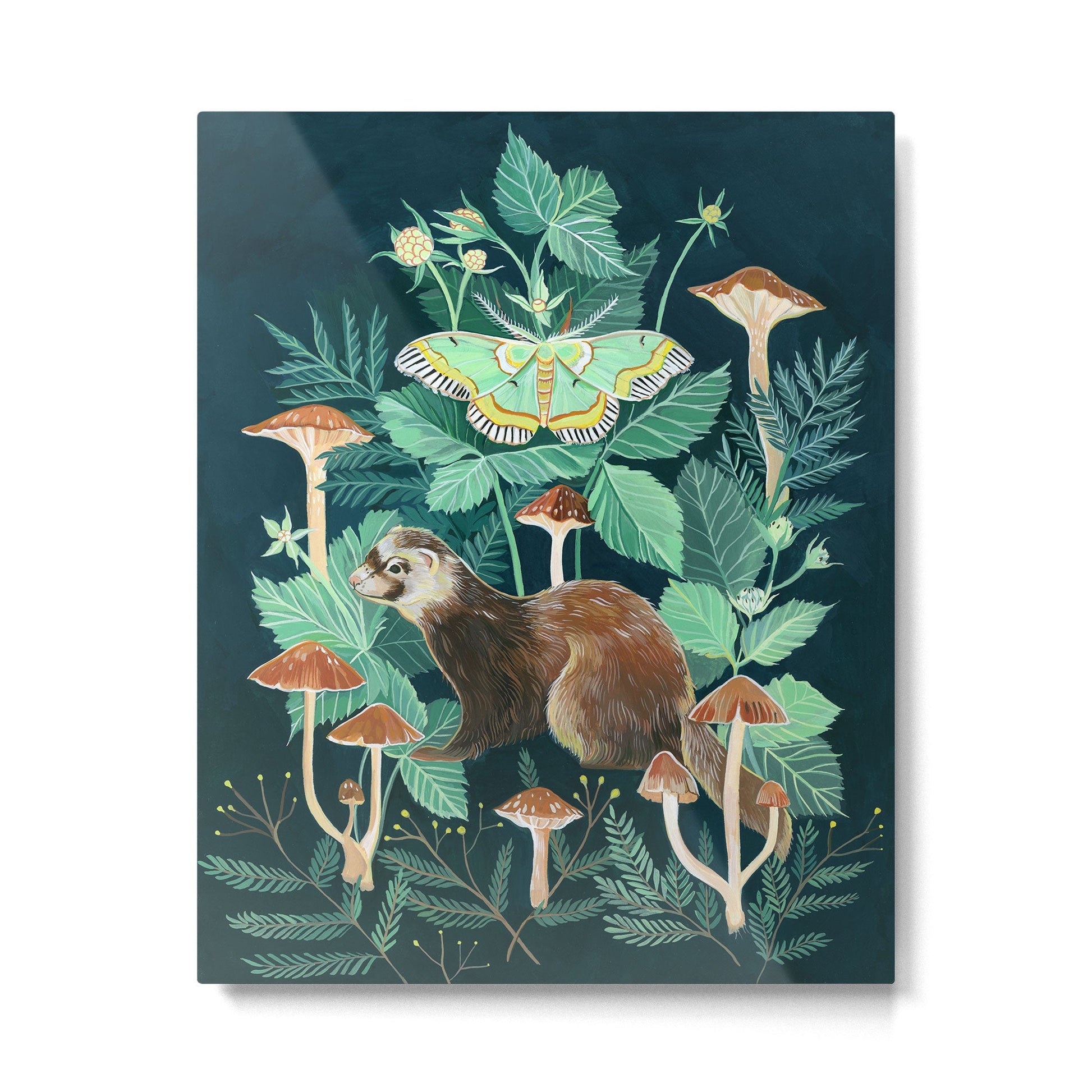 Ferret and Moth Metal Print | TeksDecor