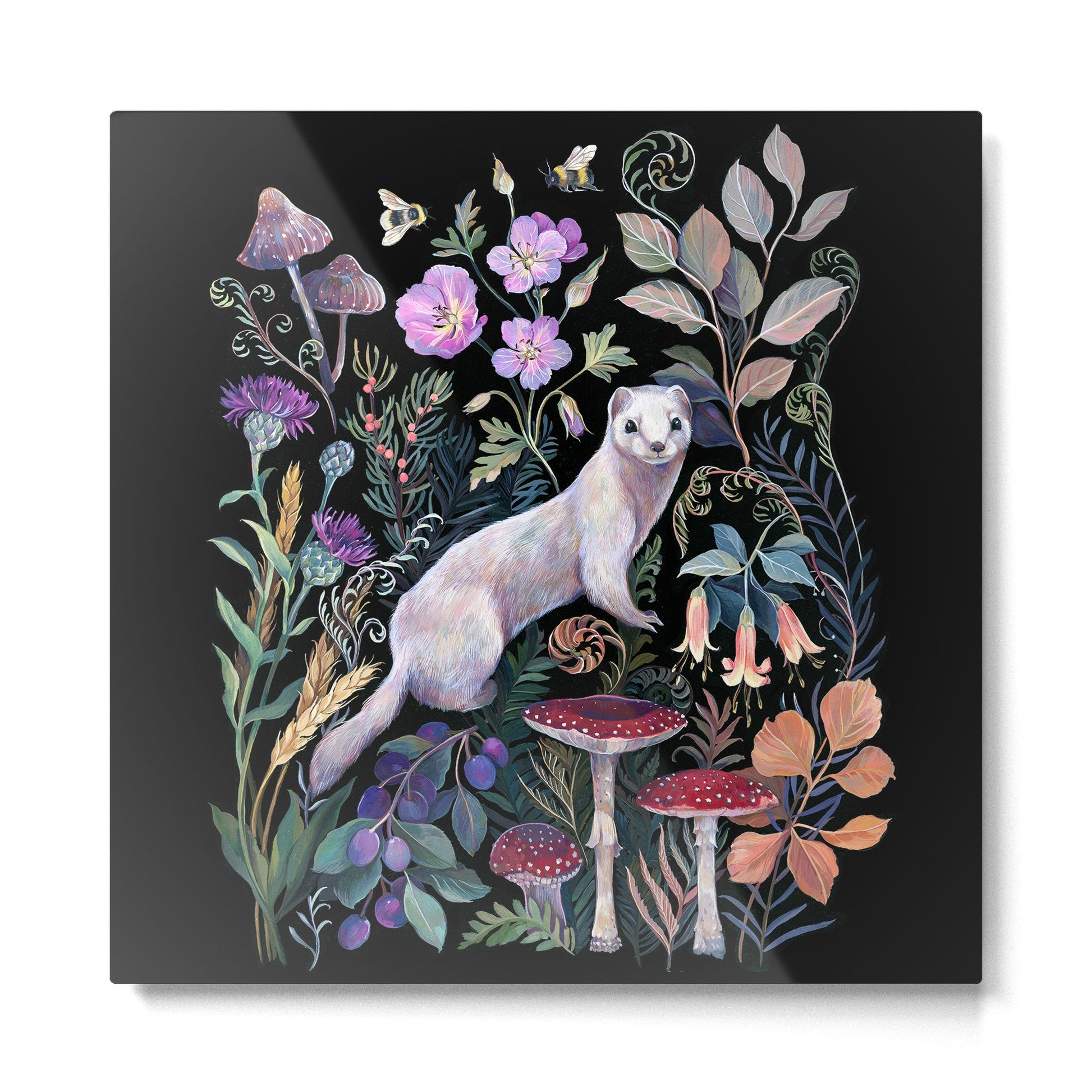 White Ermine Metal Print | TeksDecor